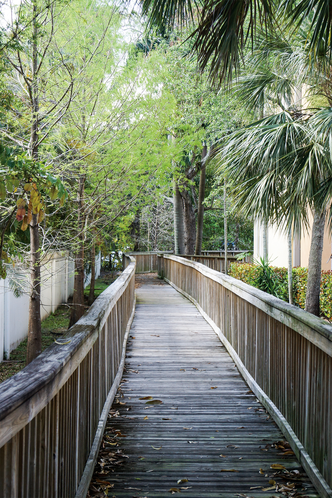 The wooden walkway wraps around several townhomes before making its way to the river.