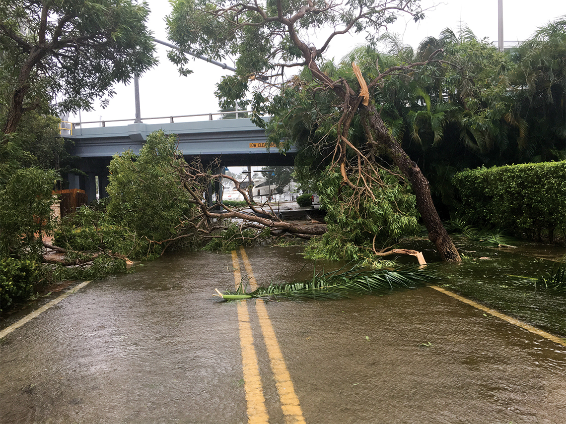 Facebook: Stefan Apotheker "all good here. no power & lots of downed trees, but the water never came over the sea wall. street is still not accessible by car, hopefully later today or tomorrow. y'all be safe out there."