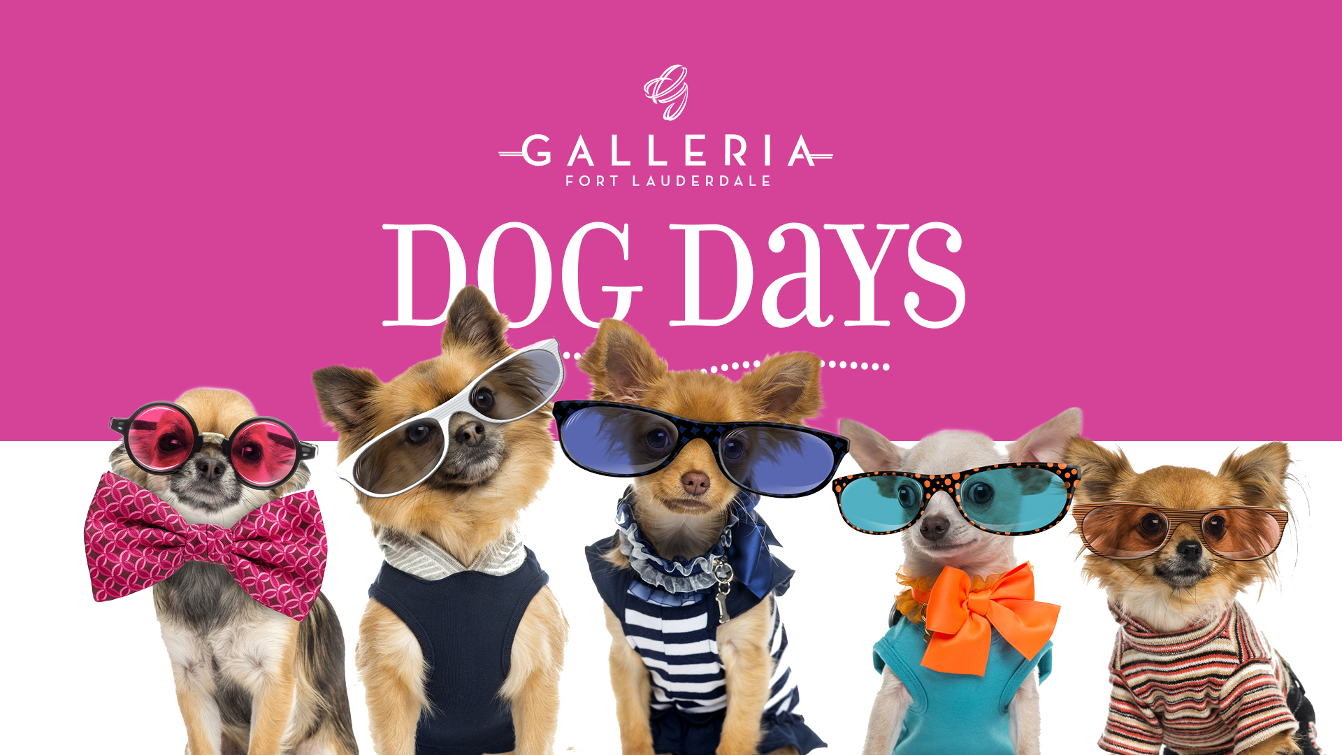 Dog Days at The Galleria Fort Lauderdale Magazine