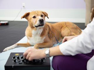 Yoga for Everyone – Fort Lauderdale Magazine